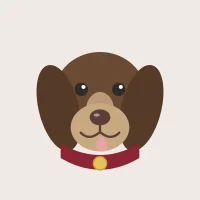 Барс Северная Звезда